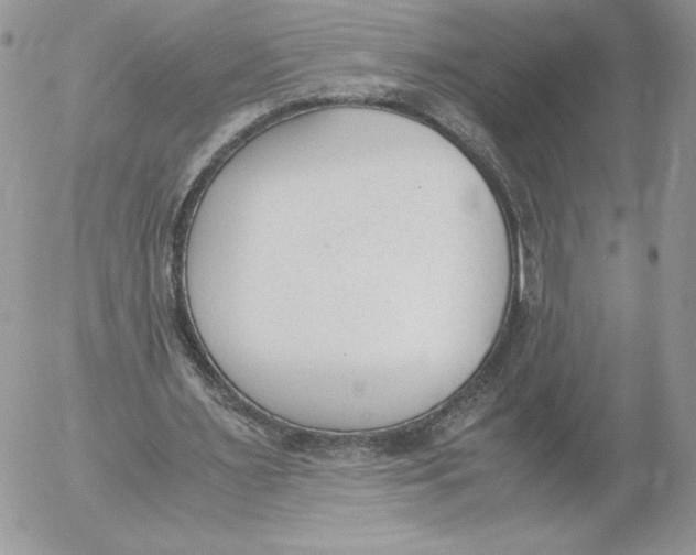 X0000052610483200507221703