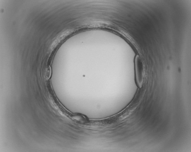 X0000052610485200507221703