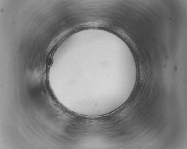 X0000052610486200507221703