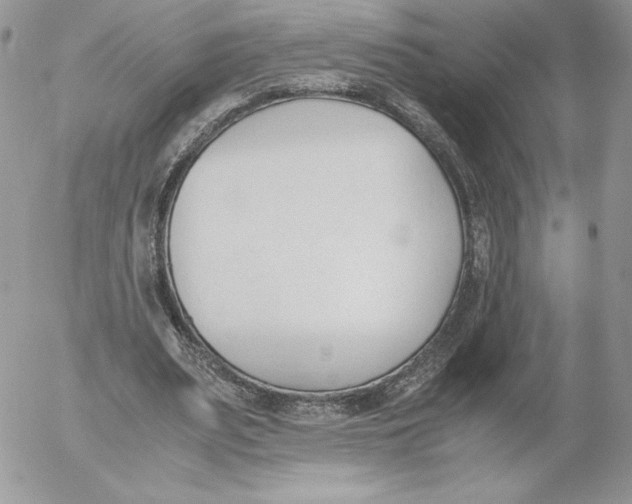 X0000052610487200507221703