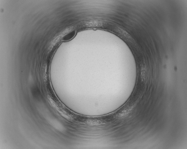 X0000052610490200507221703