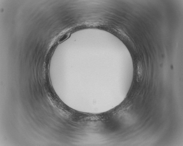 X0000052610492200507221703