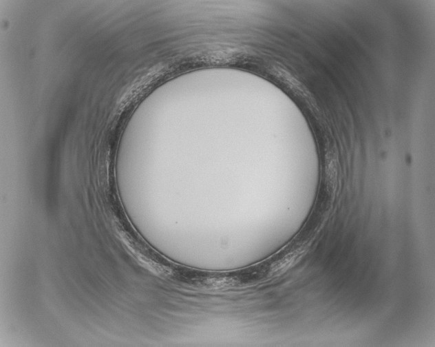 X0000052610493200507221703