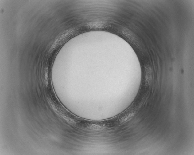 X0000052610494200507221703