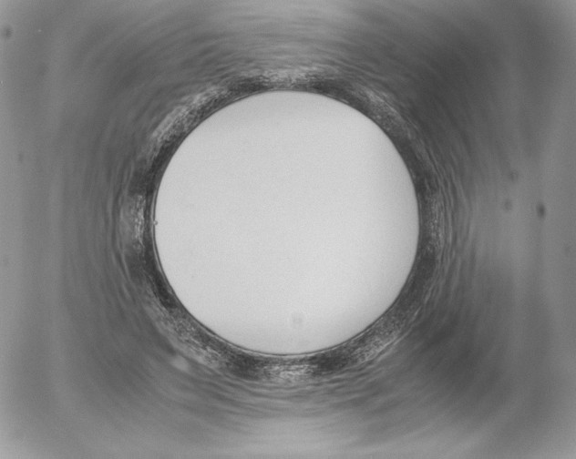 X0000052610495200507221703