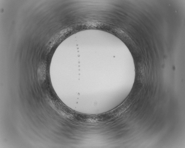 X0000052610496200507221703