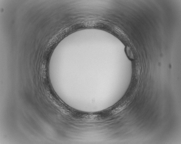 X0000052610497200507221703