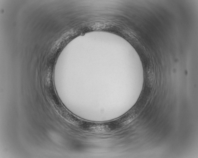 X0000052610499200507221703