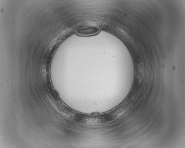 X0000052610500200507221703