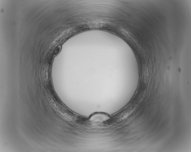 X0000052610501200507221703