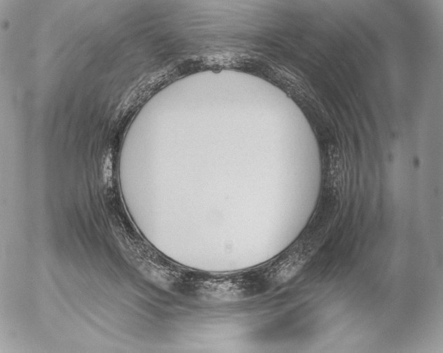 X0000052610502200507221703