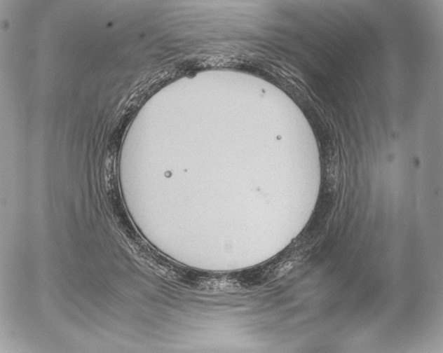 X0000052610503200507221702