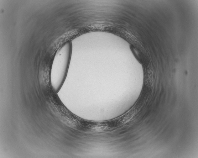 X0000052610504200507221702