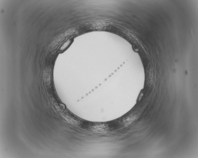 X0000052610505200507221702