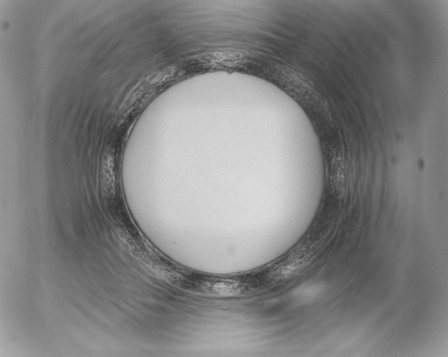 X0000052610506200507221702