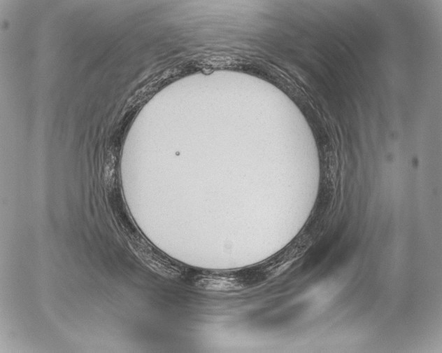 X0000052610507200507221702