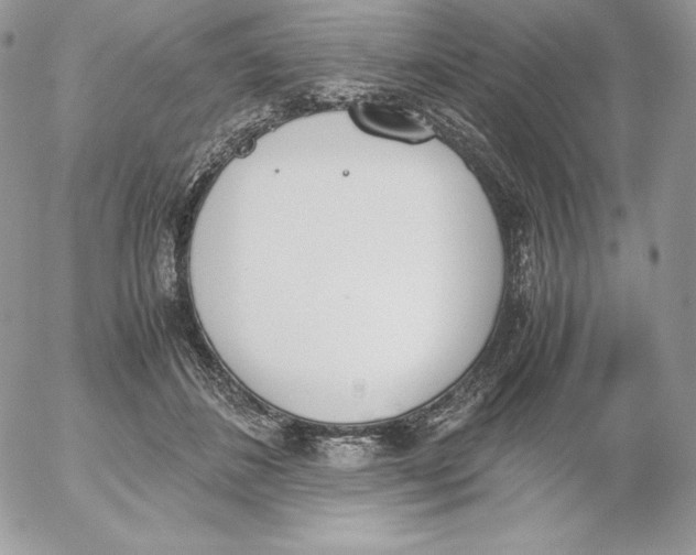 X0000052610508200507221702