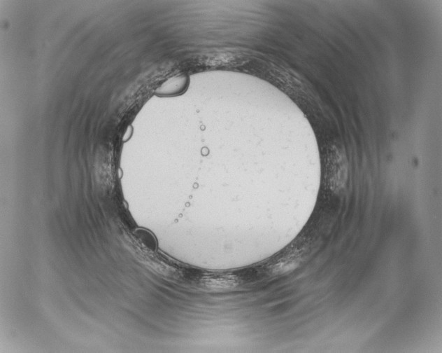 X0000052610510200507221702