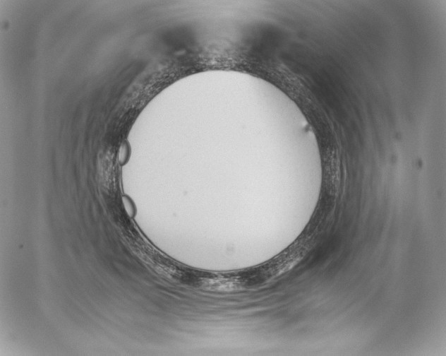 X0000052610511200507221702