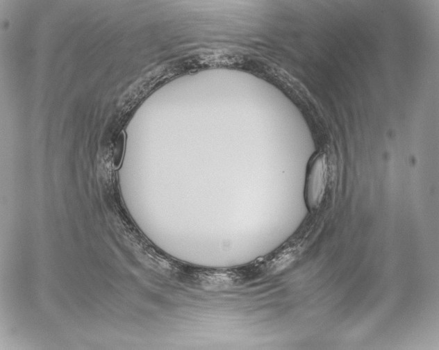 X0000052610513200507221702