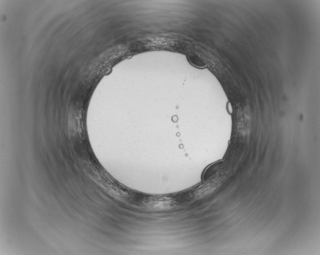 X0000052610514200507221702