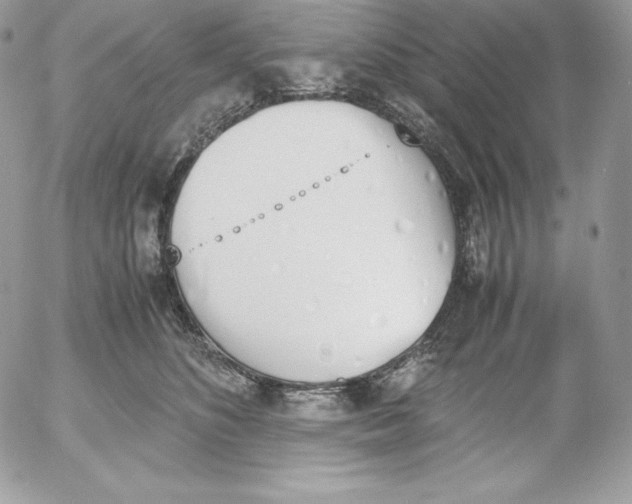 X0000052610516200507221702