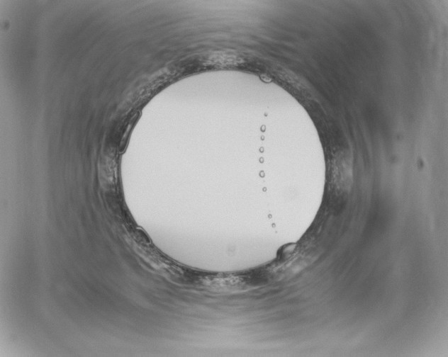 X0000052610517200507221702