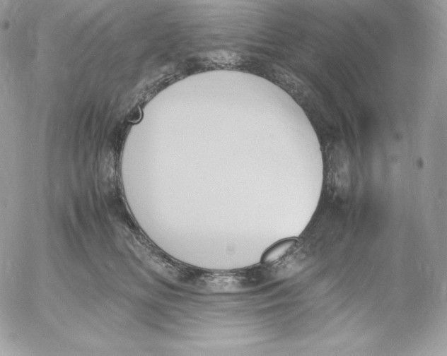 X0000052610518200507221702