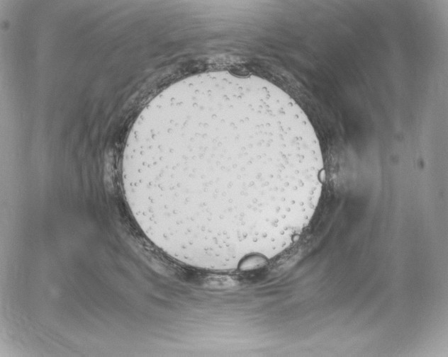 X0000052610519200507221702