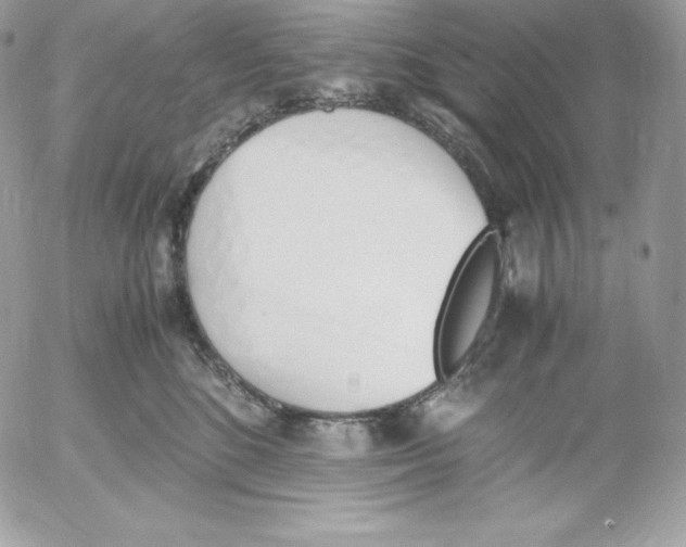 X0000052610520200507221702