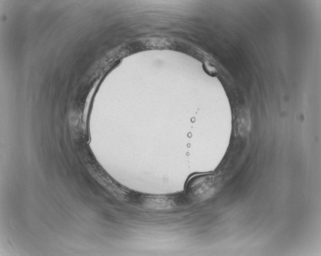 X0000052610521200507221702