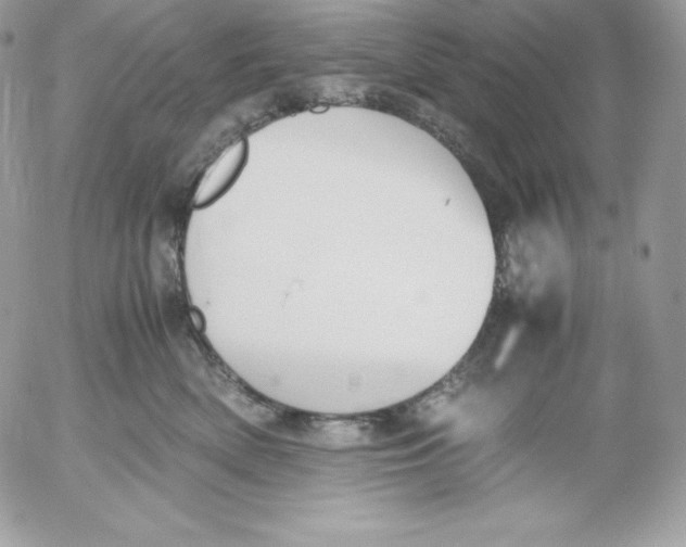 X0000052610522200507221702