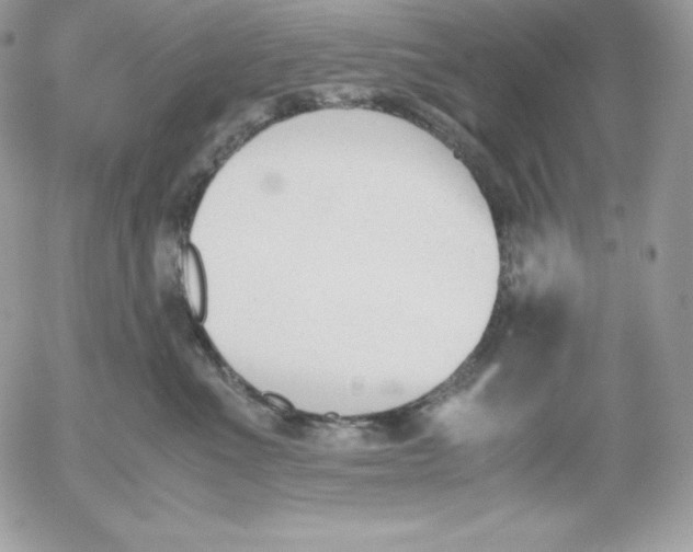 X0000052610523200507221702