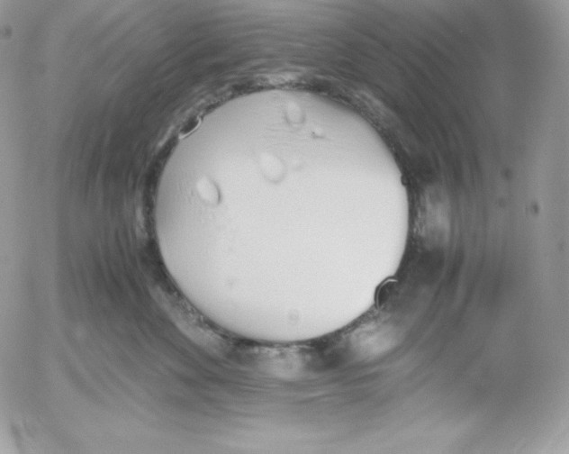 X0000052610524200507221702