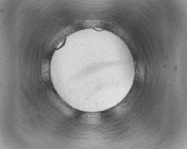 X0000052610526200507221702