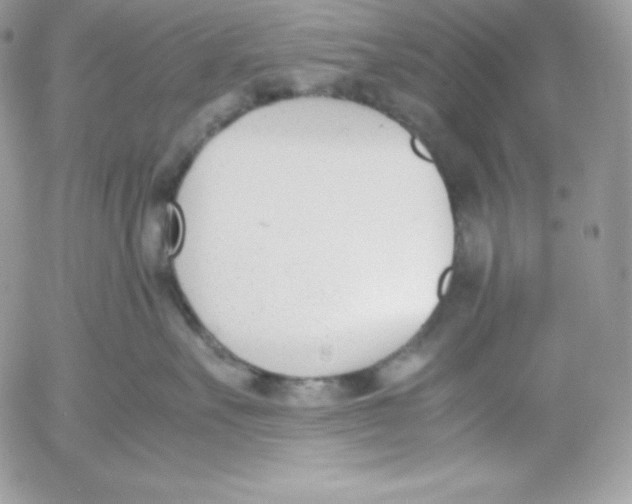 X0000052610527200507221702