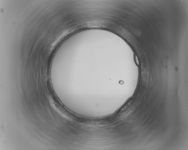 X0000052610530200507221701