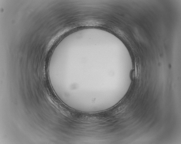 X0000052610531200507221701