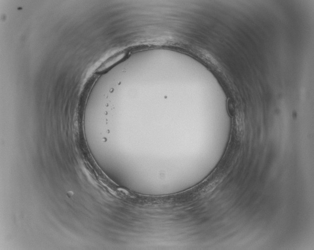 X0000052610532200507221701