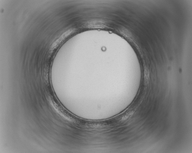 X0000052610533200507221701