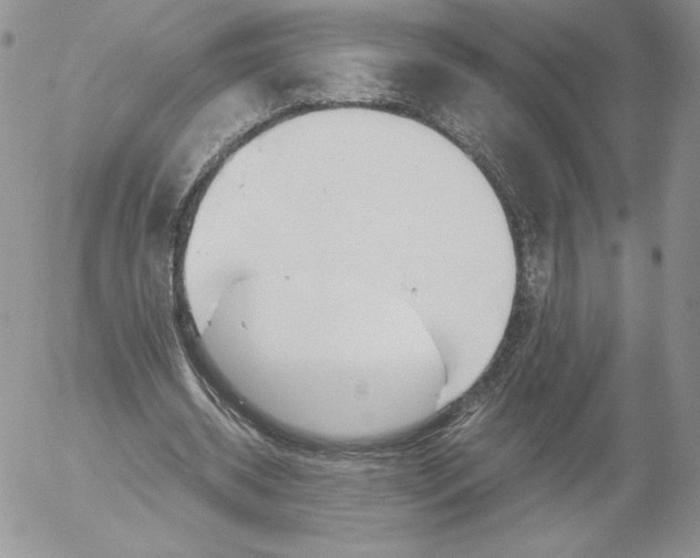 X0000052610534200507221701