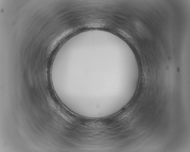 X0000052610535200507221701