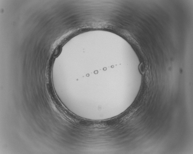 X0000052610536200507221701