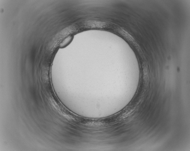 X0000052610537200507221701