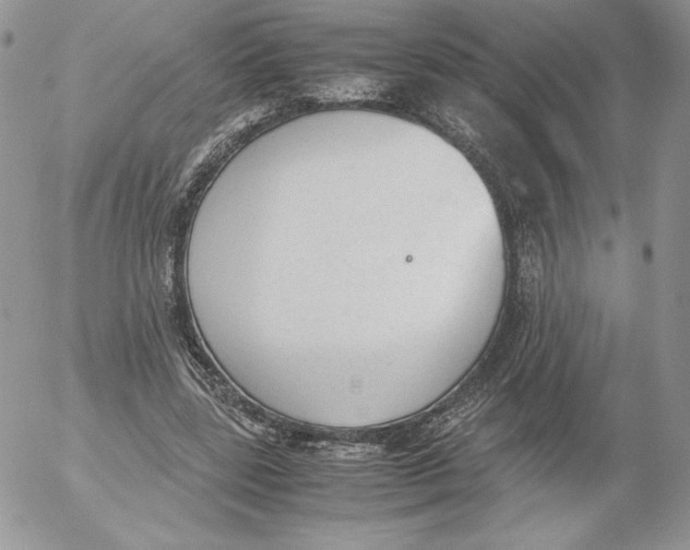 X0000052610539200507221701