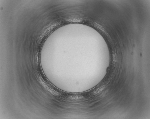 X0000052610541200507221701