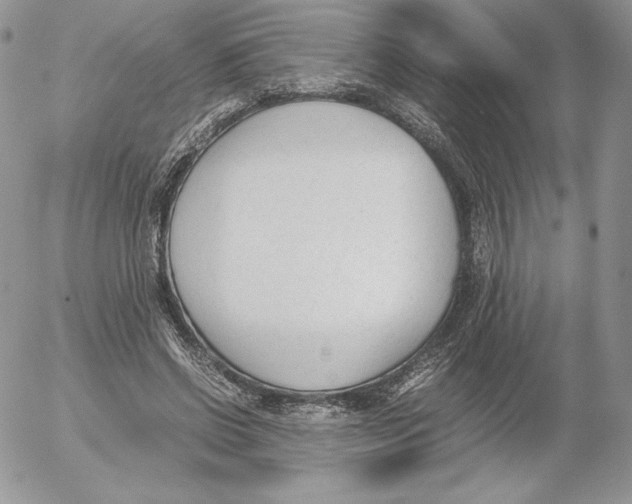 X0000052610542200507221702