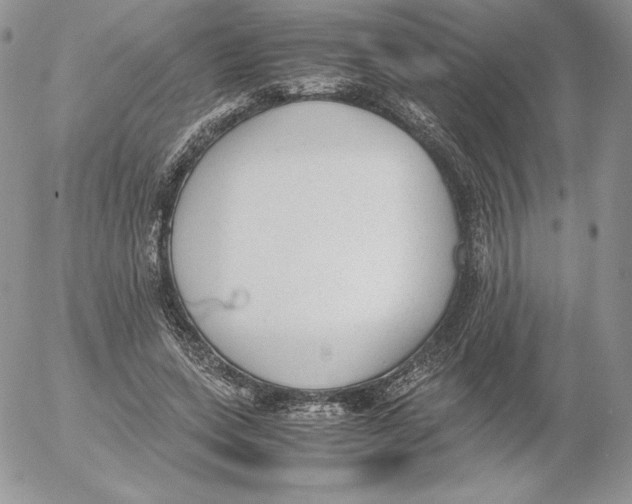 X0000052610543200507221702