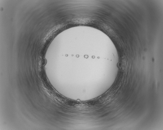 X0000052610544200507221702