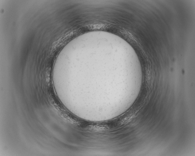 X0000052610545200507221702